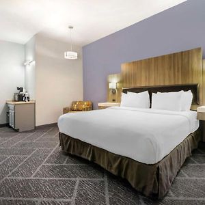 King Suite Mobility Accessible Roll Shower